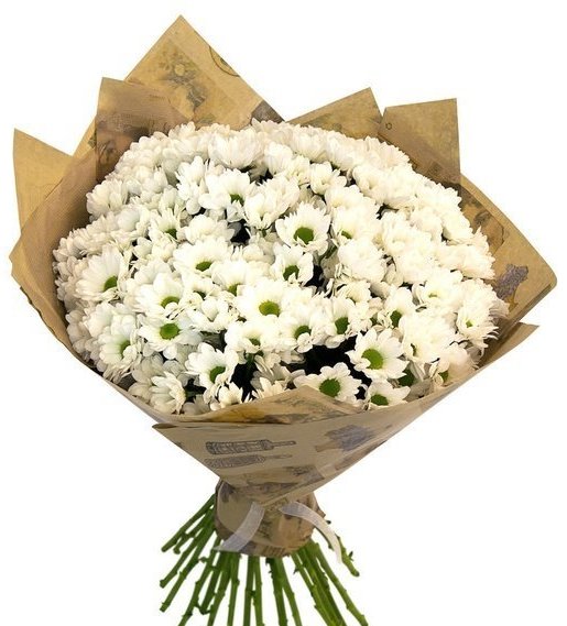 Прованс. Прованс.