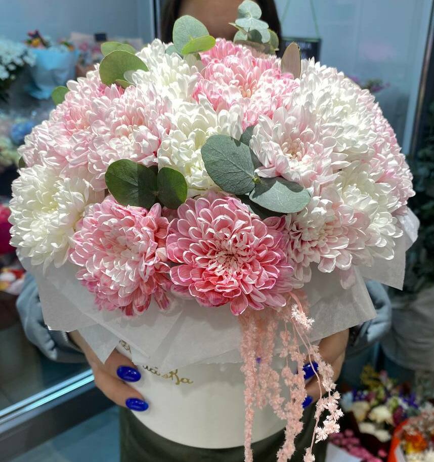 Мирабель Мирабель