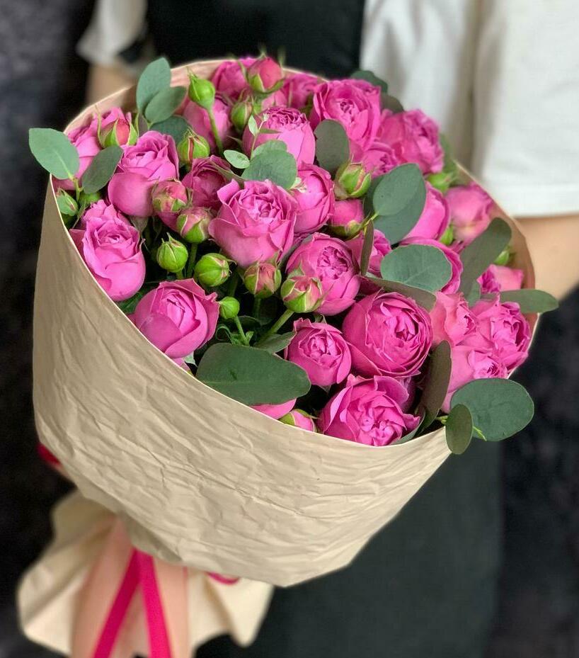 Солнечное утро Солнечное утро