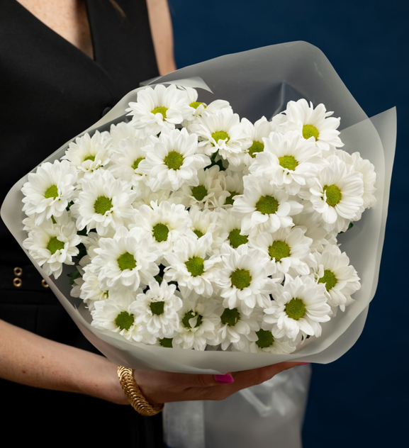 Ромашковое лето