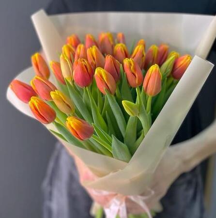 Цветущий сад